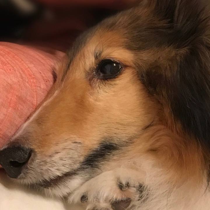 82f32193 70e4 4e13 b549 50713c3e1966