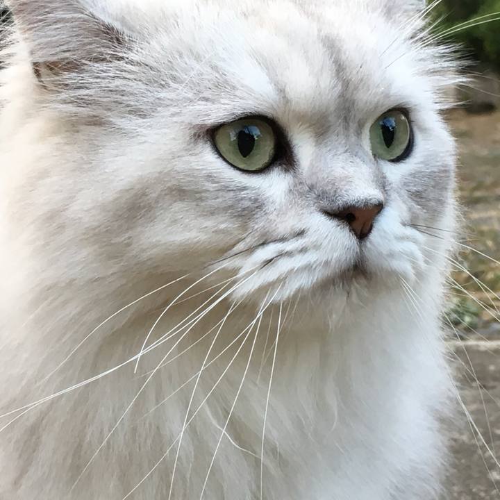 82f39914 db42 425d 90e3 5ab03303dff3