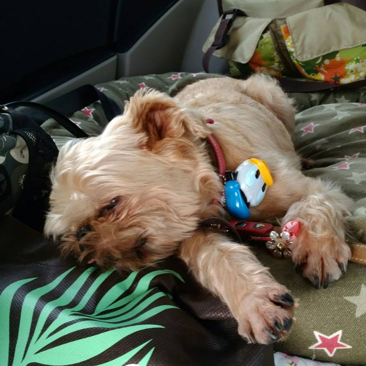 82f3a001 1c69 483d abf4 6b62468faf27