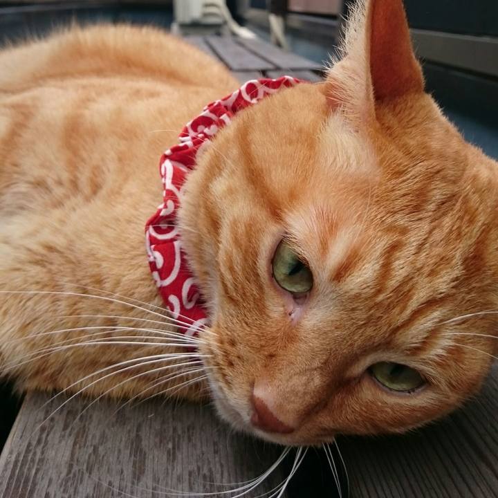 82f4240a a4a4 4856 8a2f 77320f6ef734