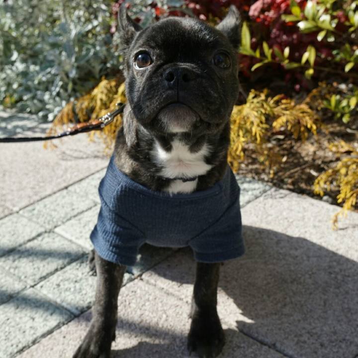 82f44b26 b180 4c04 a2a6 8f52a9901b1b