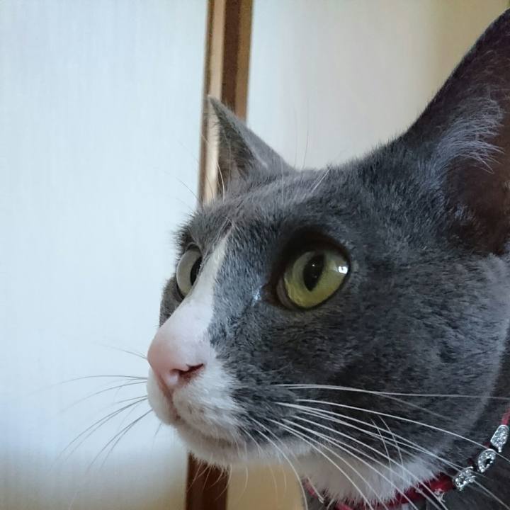 82f4b324 247a 448a 9dca e3eabaaad897