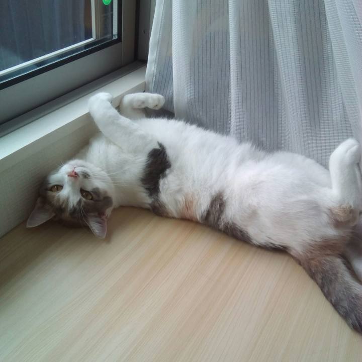 82f5aece 0f82 48c0 8303 26a5fb0a3934