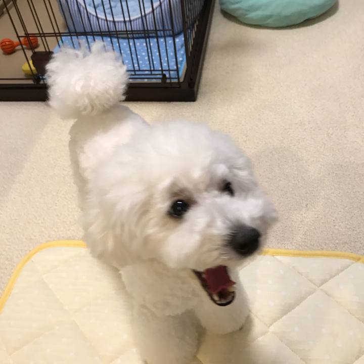 82f5cc8d 7b5d 4a20 87e9 6334e81c71a2