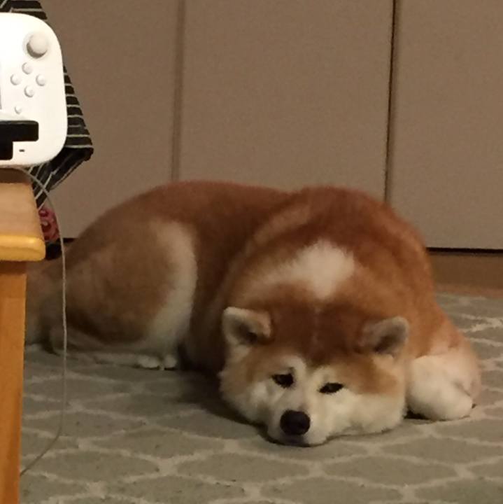 82f69055 11c4 45e2 a1bb 3f0151996530