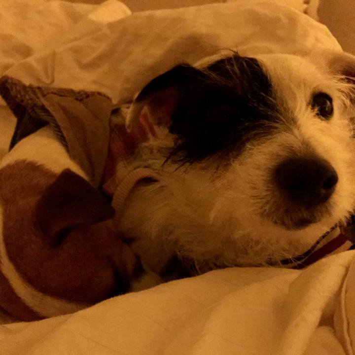 82f6ec83 77a0 4e3f ab70 6bf054988e89