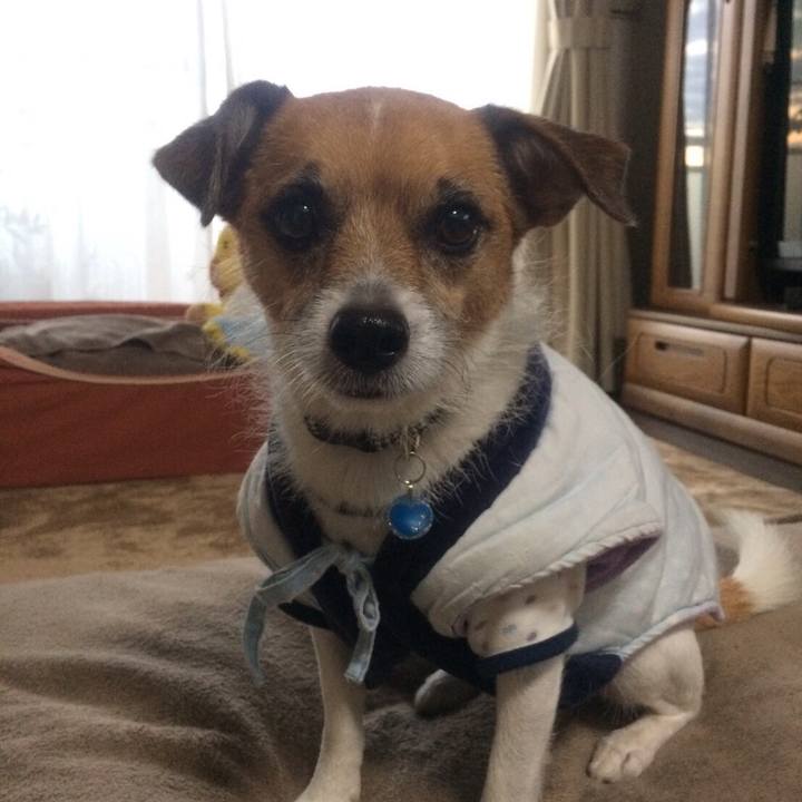 82f6f2b3 1f48 4eea 8e61 dede9a1c9d07