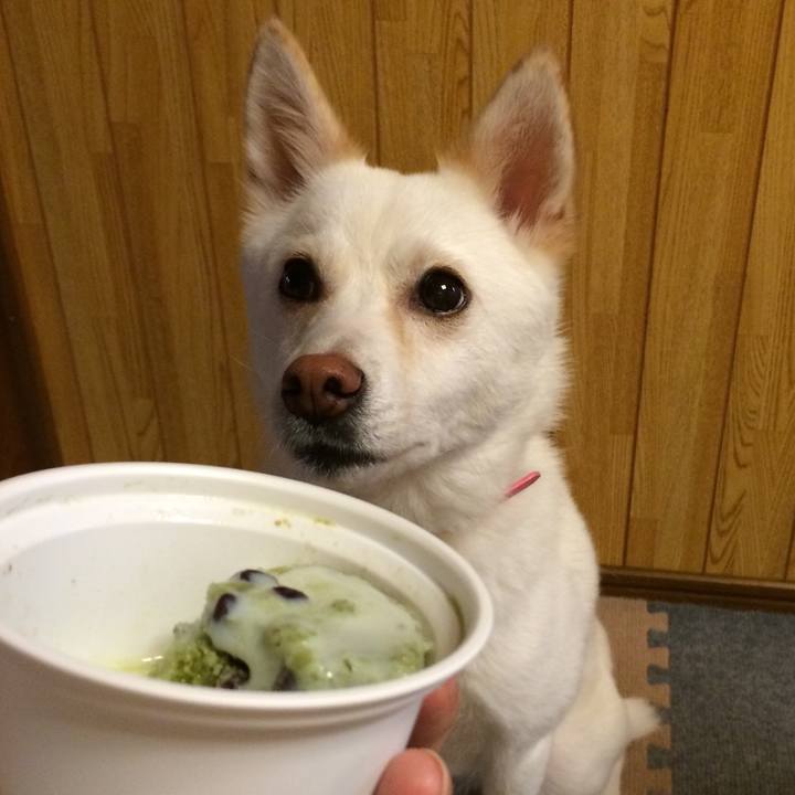 82f72b32 4ab2 4095 b92c dff39f994982