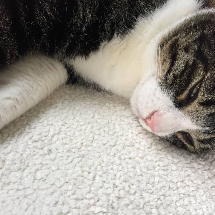 82f81fc9 bdb2 4aa4 91d6 b64eb6fcc1fa