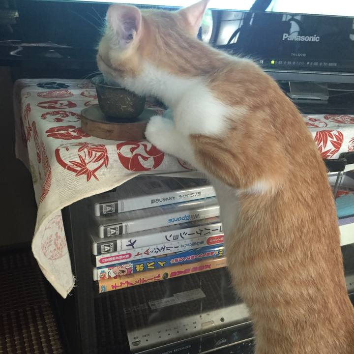 82f886d9 483d 4b7b a678 e23a64f3fcc9