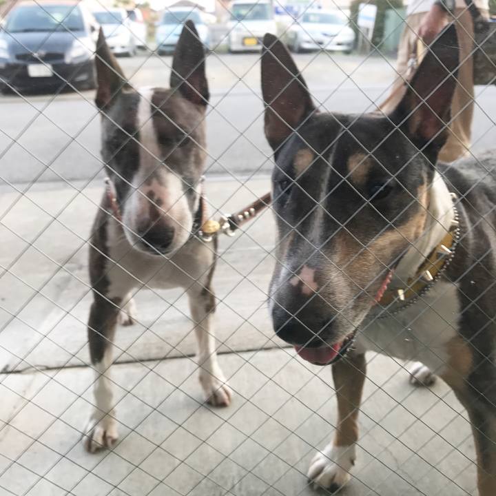 82f8ac5c f75a 4707 85a7 b50e61bb6121