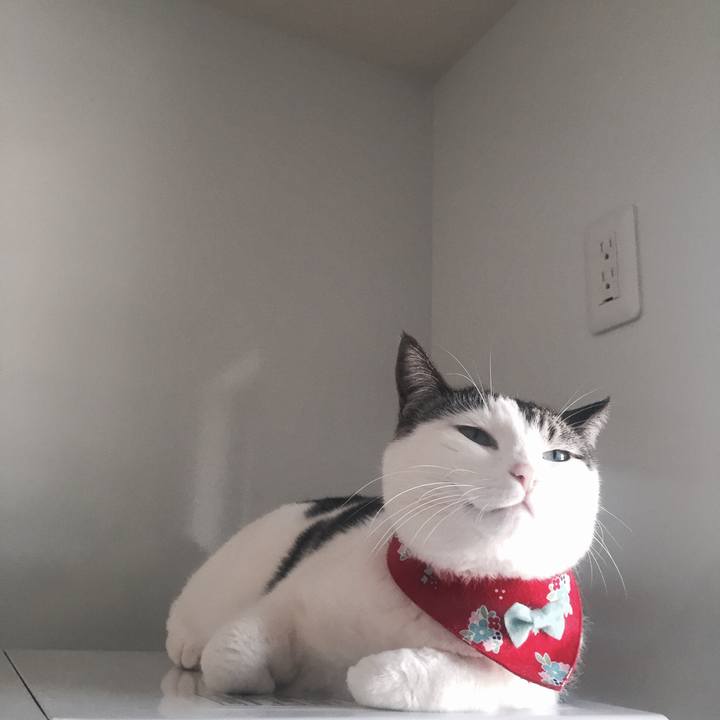 82f94444 0ee5 4346 9c2a 73a4e900d504