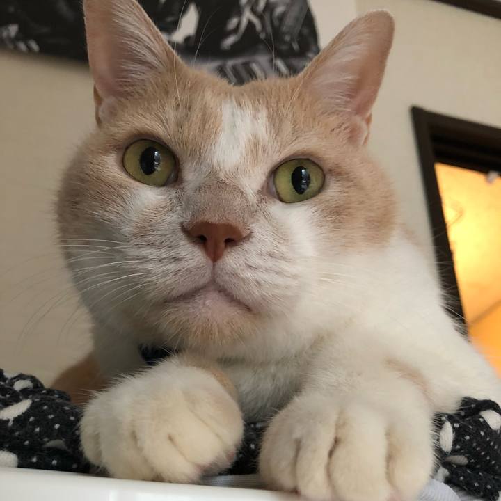 82f96596 2492 4173 bf3a d98c9c9e5a90