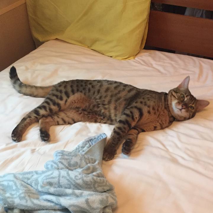 82f99581 d2b4 45b4 9eac a7443a6660bf