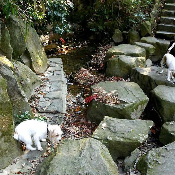 82fa06cc bff3 418c 957d fc7a44568d0d