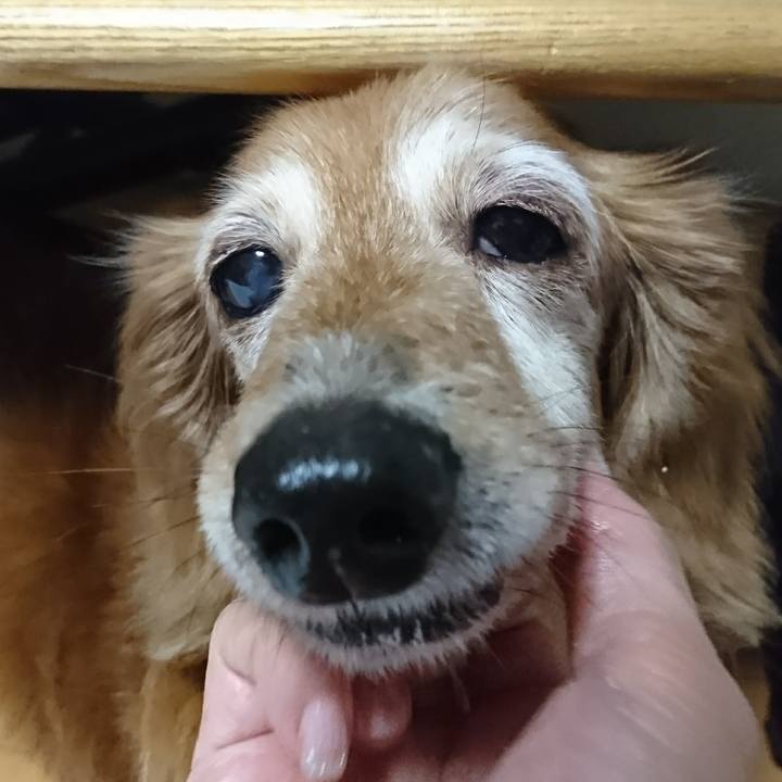 82fa193f 4ae3 4a41 8764 34cdab20526f