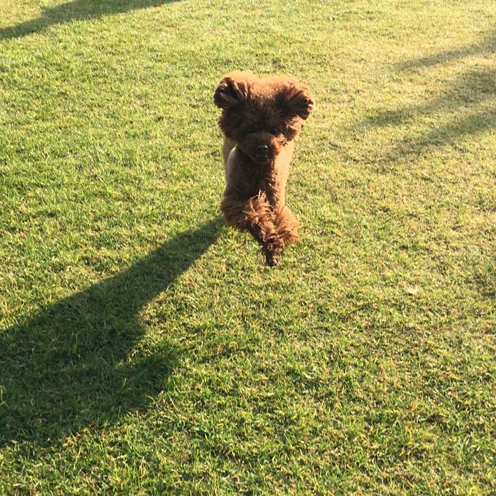 82fa22c7 fc27 413b b2ef e75c7f4a3ce7