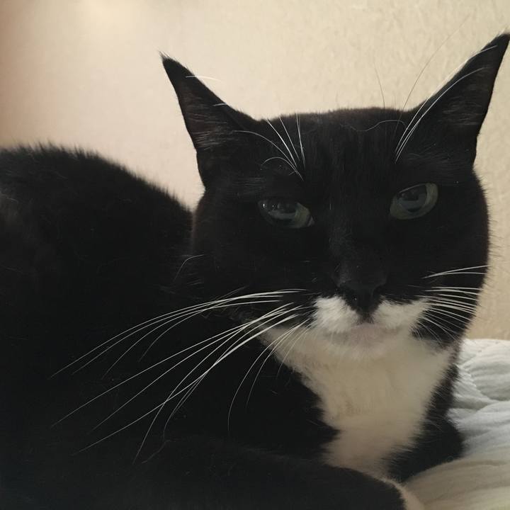 82fa325b 3eec 4fc9 a181 5ddc1cf4ced6