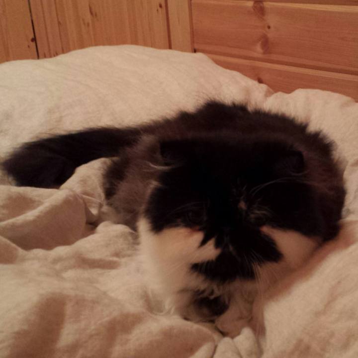 82fae779 df30 41c2 b787 efb56a531f27