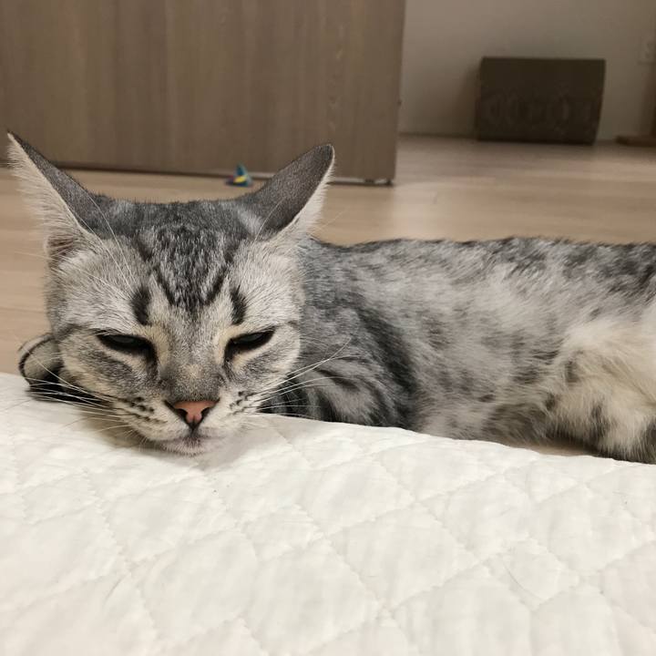 82fb182d 38c7 41e5 b05d 43dc873b3c0d