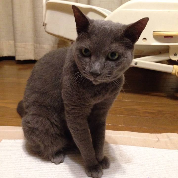 82fb70b8 7868 4cbd 955b 1d5662897aaa