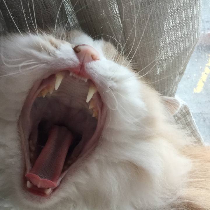 82fc4174 f315 4977 b1df 5d89a5d3c075