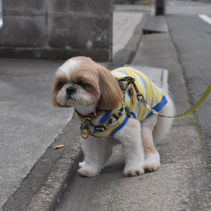 82fc43f4 b658 417d bcb5 1b882de6d9a9