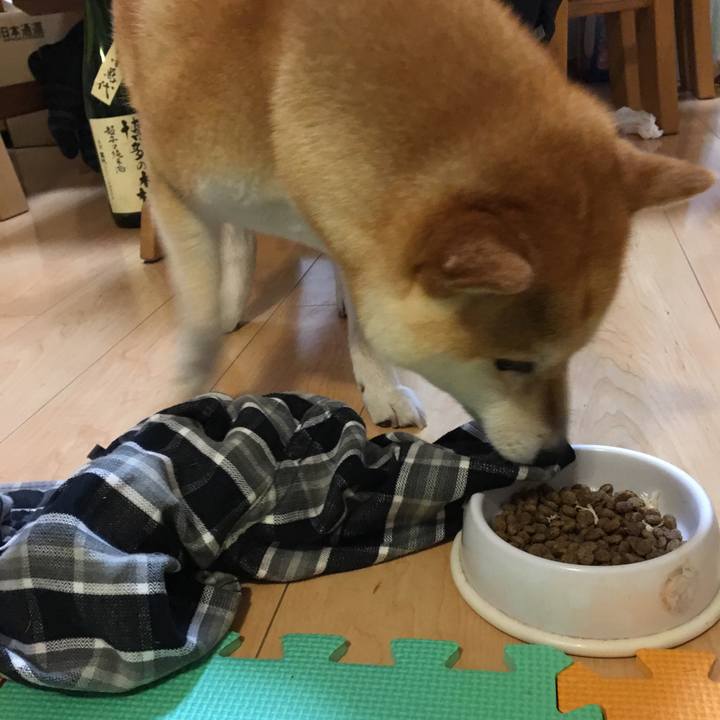 82fc4caa d364 4f84 8f5e d6ff7a9a10ac