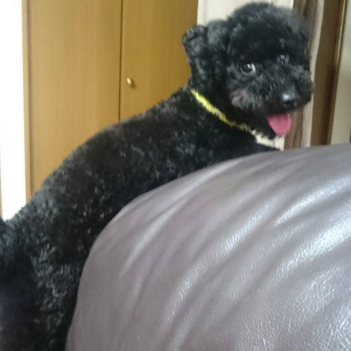 82fc607a 86ad 4095 bd10 3345fe7c887a