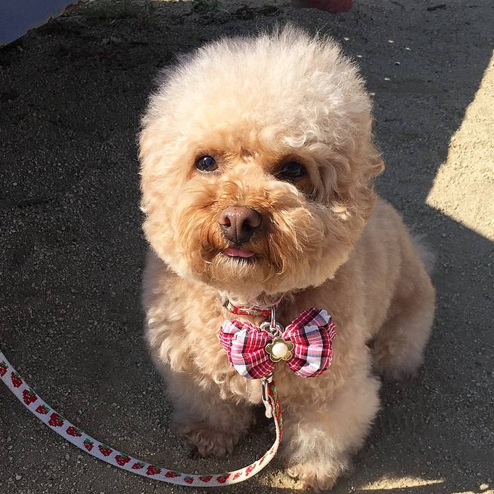 82fc8a2d 46d7 4894 90e6 1c2c43421ed6