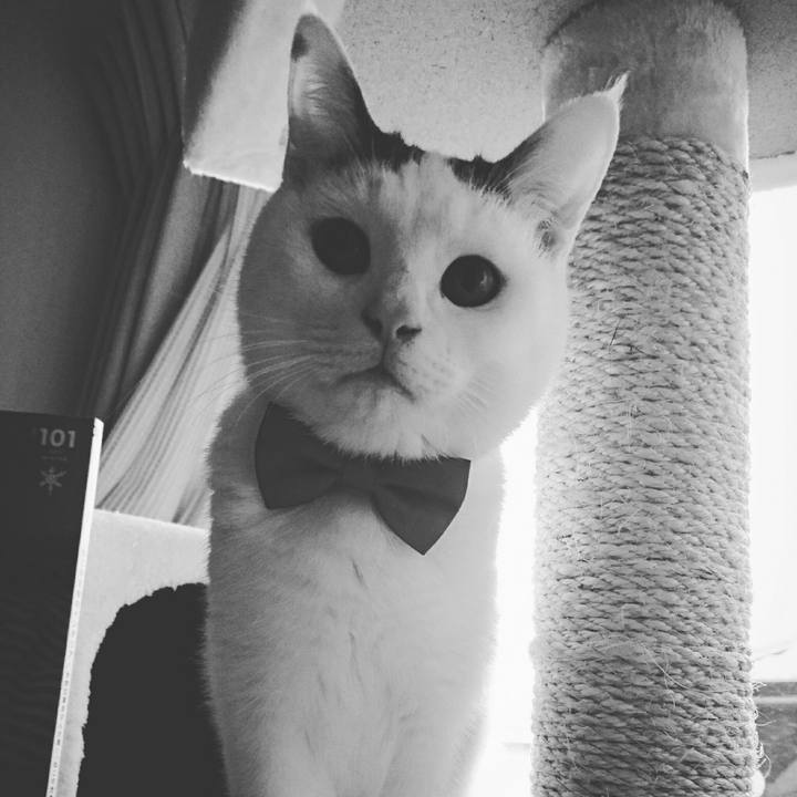 82fc8b5b 7871 40a4 bf9e 59ed069b771d