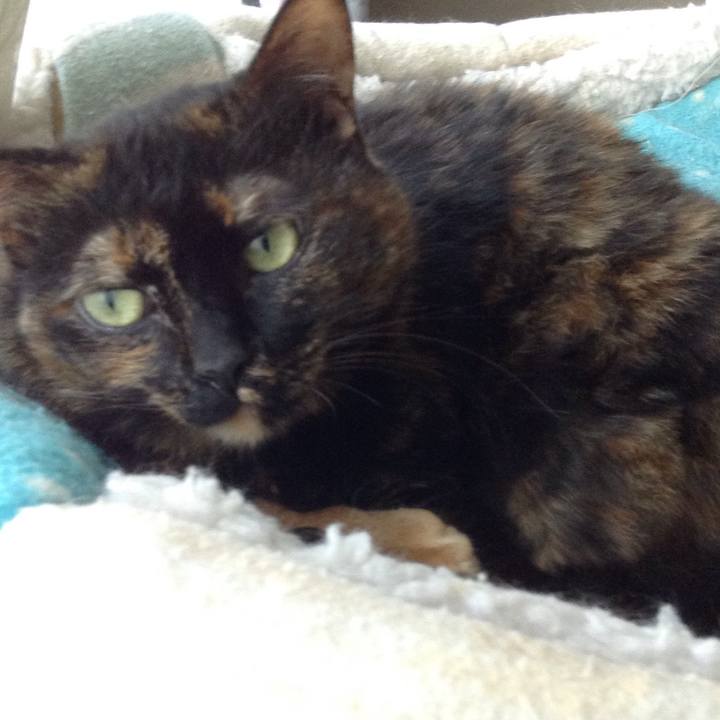 82fca0c8 e1b7 4908 8d33 174cb9e0f391