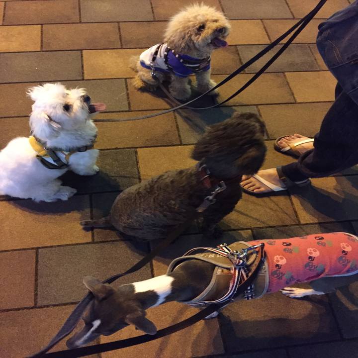 82fd2d65 d766 41f0 b417 d8d1b54de294