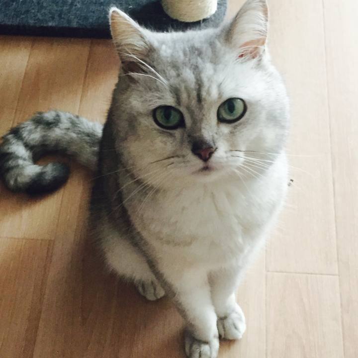 82fd8979 2ba5 4abb bff9 7d703ec82308