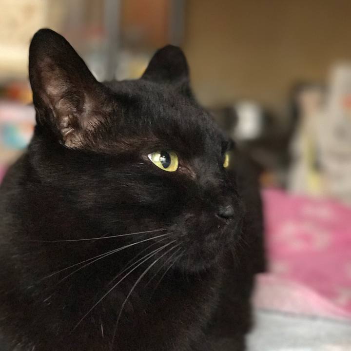 82fe0c7c 2261 4964 8765 3c2bb876f3e9