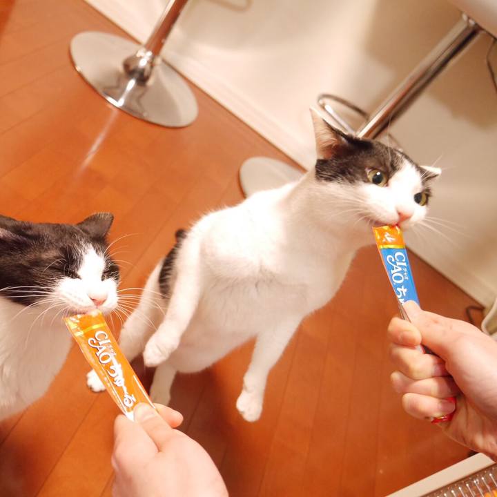 82fe41ce dfcd 4e3e bc88 759c1c2fad2d