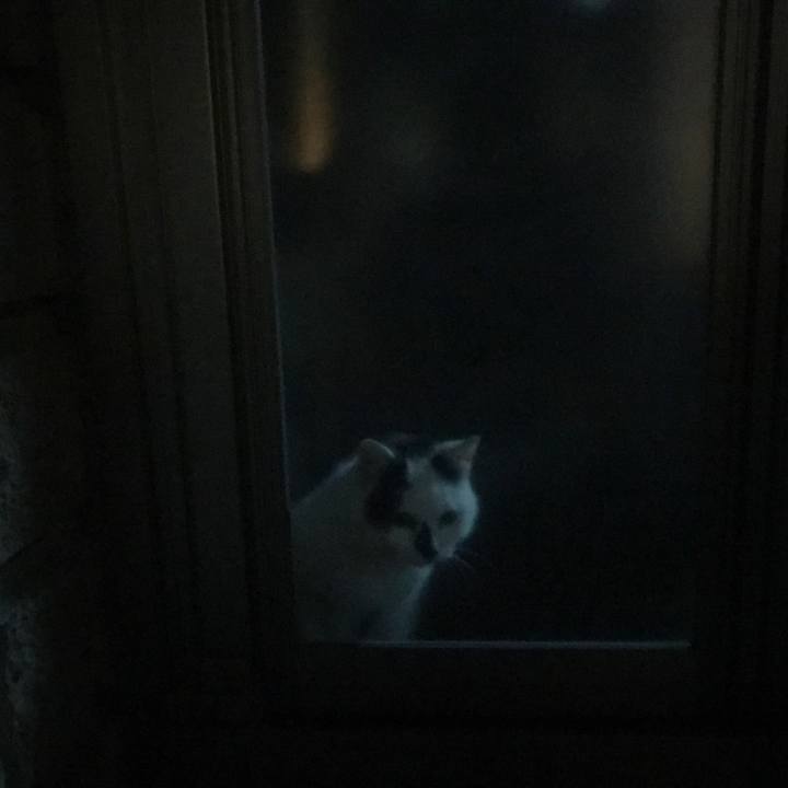 82feb32b dc4d 4cf9 81e7 877071fc3280