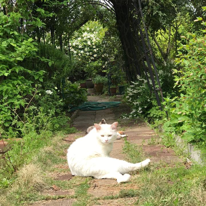 82ff2dd1 f204 430b 9595 ff5109062ec1