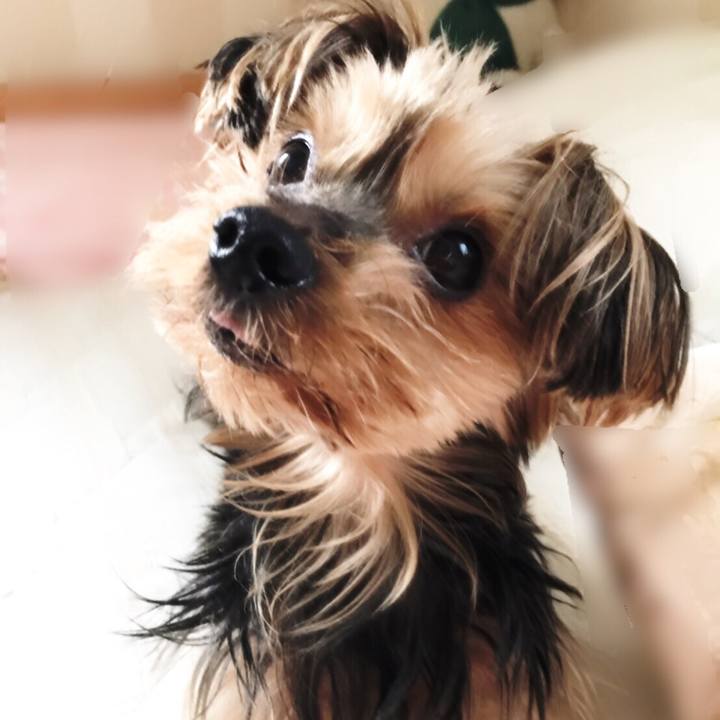 82ff37ab f712 4562 8f47 aa9824df8a45