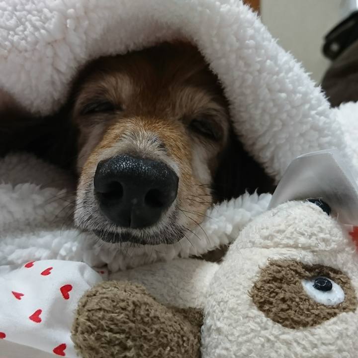 82ff3ba0 d11f 452d a0e7 c1a87f579ff9