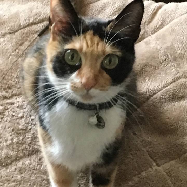 82ff5e4f 1e8f 4076 8369 66f5390b4e93