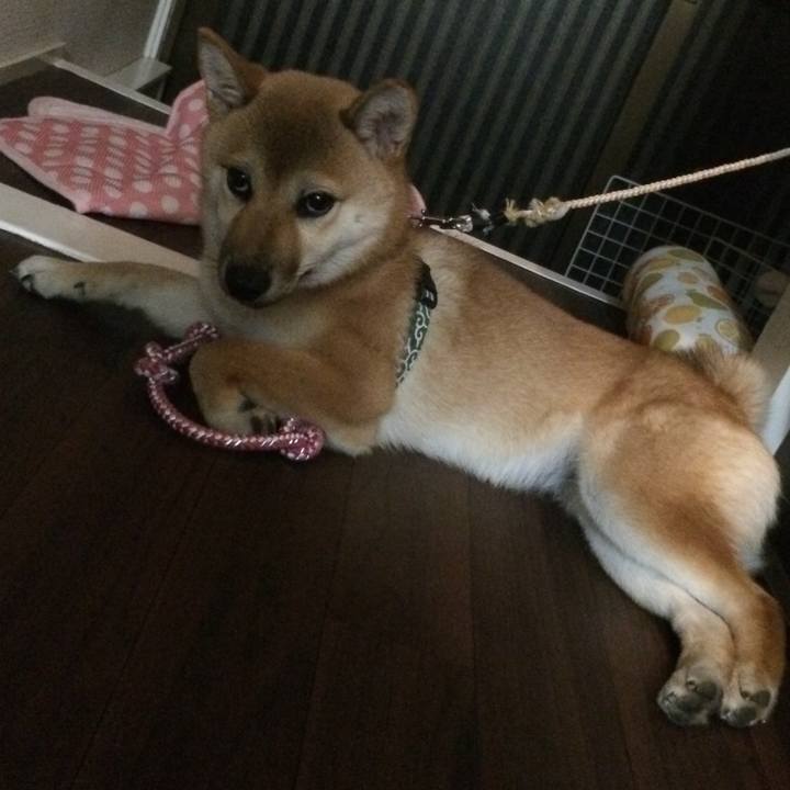 82ff6a23 3dbe 4e47 81f2 217c9447b44c