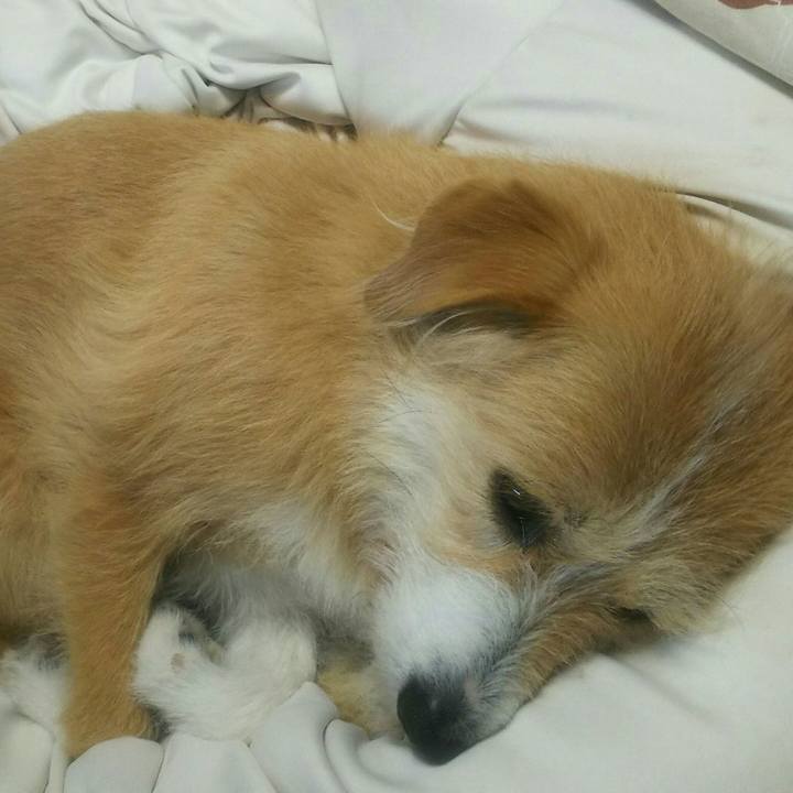 82ff93e8 16a8 4b53 bbd7 12076418eed4