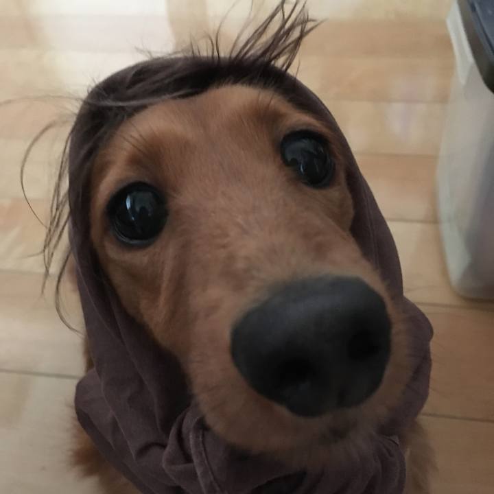 82ffbb63 c3e4 4408 b03a 17d9e1f65e3d