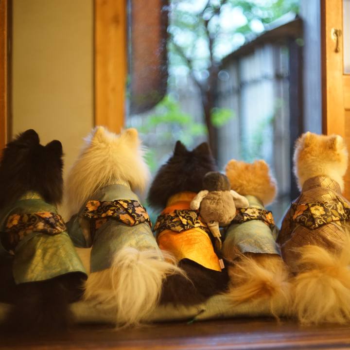 83006e3e 36a2 4901 810b 468f407da40a