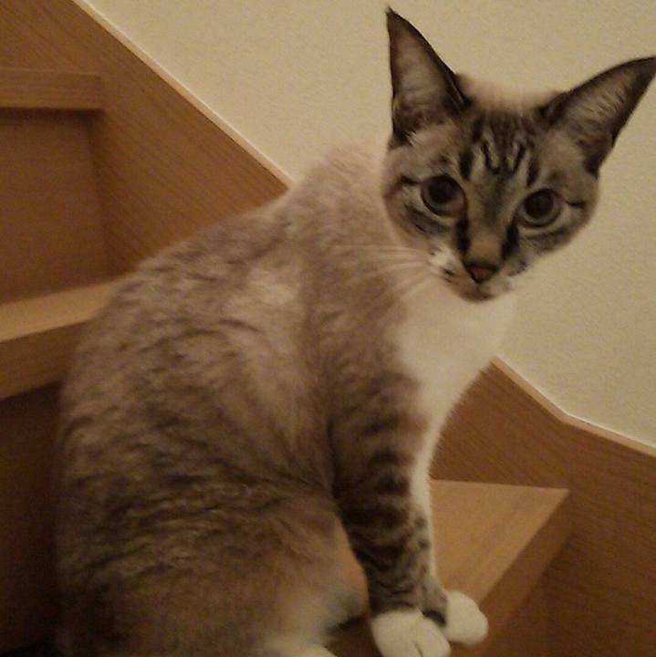 830149a6 3e53 4fd7 9a1b 3bd6eadcf6b8