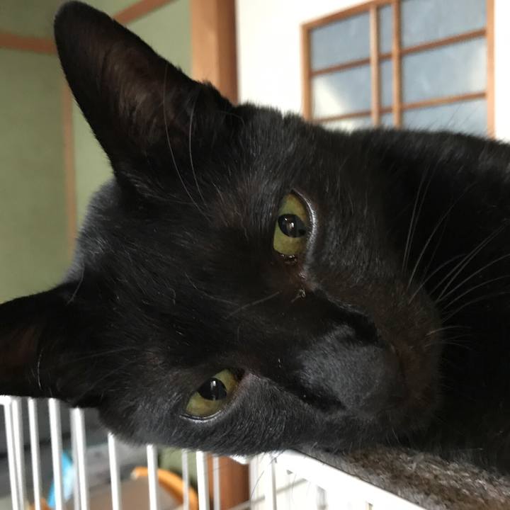 830152d7 35b6 4fa5 b4a3 963d85e30dce