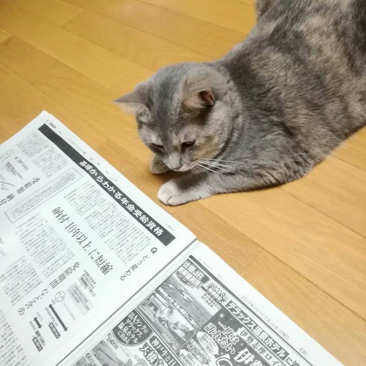 83018ae2 56e4 438b adc5 cc2c87a3ab40