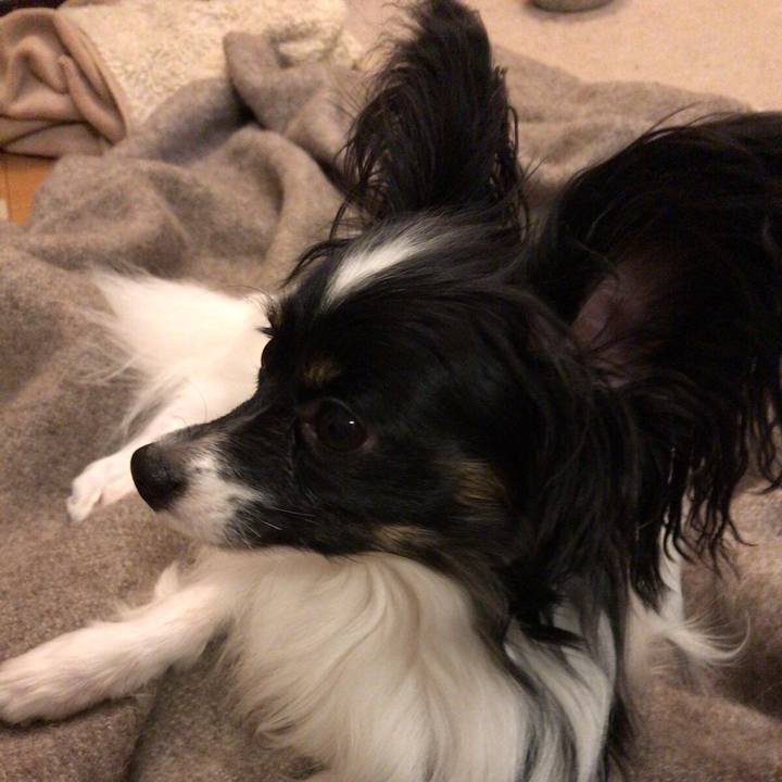 830191c4 7800 45c9 a655 b95c9ff00cd9