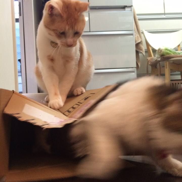 8301b749 5c3d 4bc8 a26d bf231e3b792a